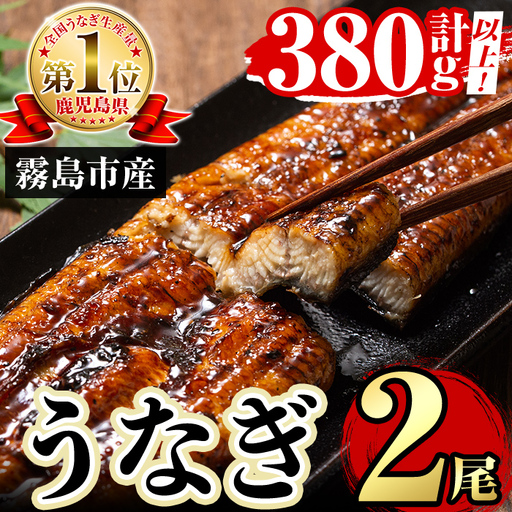 A5-034-RT 数量限定！特別サイズ！霧島産うなぎ蒲焼き計380g以上(190g超×2尾)【田代水産】霧島市 国産 鹿児島県産 うなぎ 鰻 ウナギ 高級 蒲焼き 蒲焼 かばやき タレ
