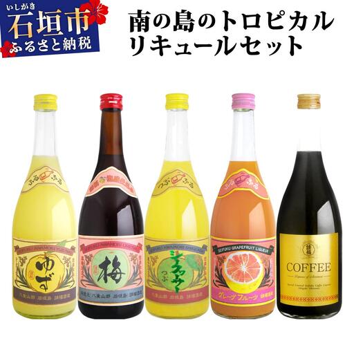 南の島のトロピカルリキュールセット AK-39