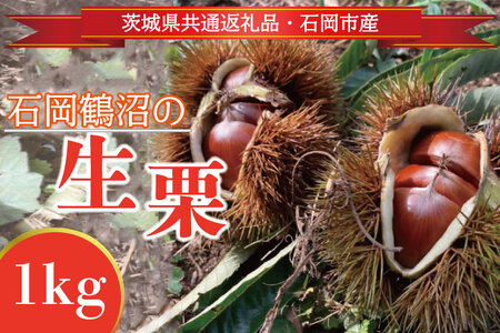 [先行予約][2026年9月中旬より順次発送]石岡鶴沼の生栗 1kg(茨城県共通返礼品・石岡市産)|茨城県 行方市 栗 生栗 秋 旬 無農薬(ER-1-1)