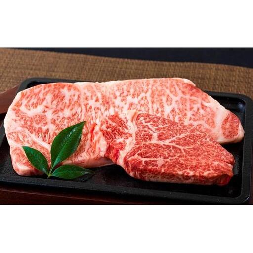 長崎和牛サーロイン･ヒレ食べ比べステーキセット