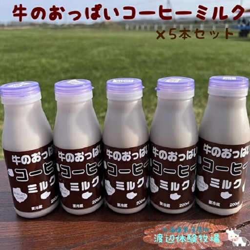 牛のおっぱいコーヒーミルク５本セット 1852