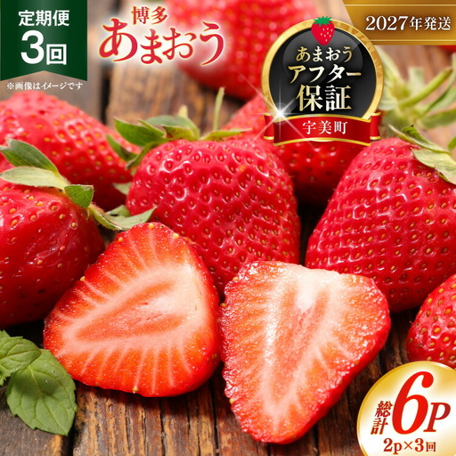 いちご あまおう 2p 定期便 3回 いちご 【2027年発送】