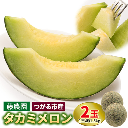 【先行予約】タカミメロン 2玉セット｜舐瓜 [0836]