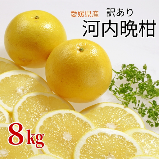 【2027年4月より順次発送】訳あり 河内晩柑 8kg｜B150