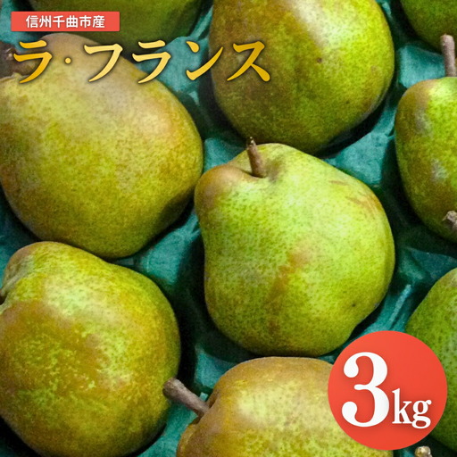 【2026年先行予約】洋梨 ラ・フランス 約3kg|ラフランス