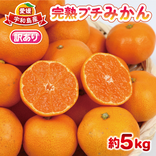 【ご家庭用】完熟プチみかん約5kg杉本屋 | みかん B010-143003