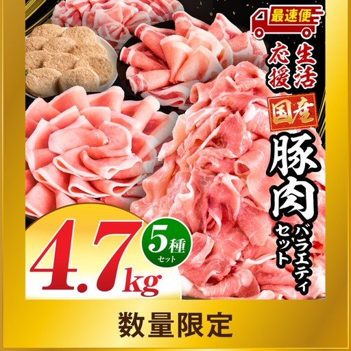 豚肉 バラエティ 豚肉[大満足豚肉ロースバラエティセット 4.7kg ロース ハンバーグ]