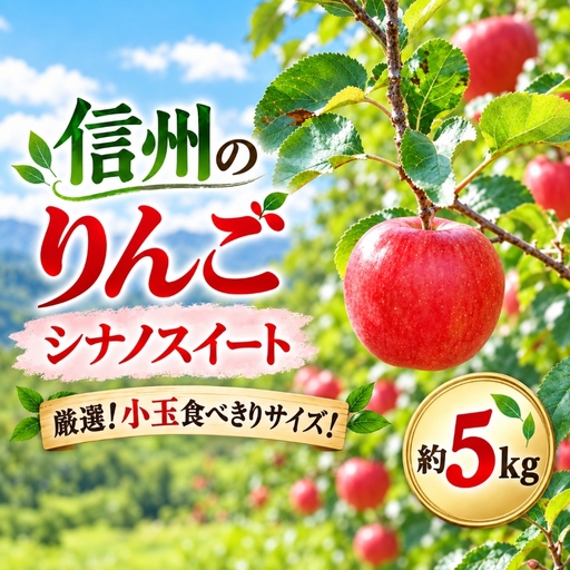 令和8年10月中旬頃発送 信州のりんご シナノスイート 厳選！小玉食べきりサイズ！ 約5キロ【018-34】