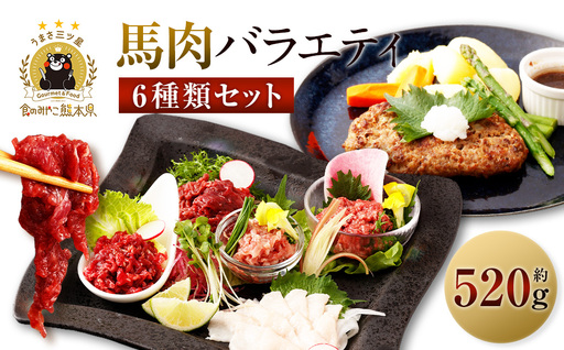  6種馬肉バラエティ 約520g (赤身切り落とし・コウネ・フタエゴダイス・線切り(ユッケ)・桜うまトロ・馬肉ハンバーグ) 
