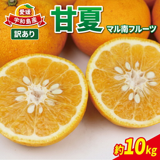 訳あり 甘夏 約 10kg マル南フルーツ 甘夏