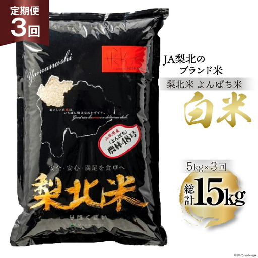 【定期便】【3回 米 定期便 】 梨北米 農林48号 5kg×3回 総計15kg