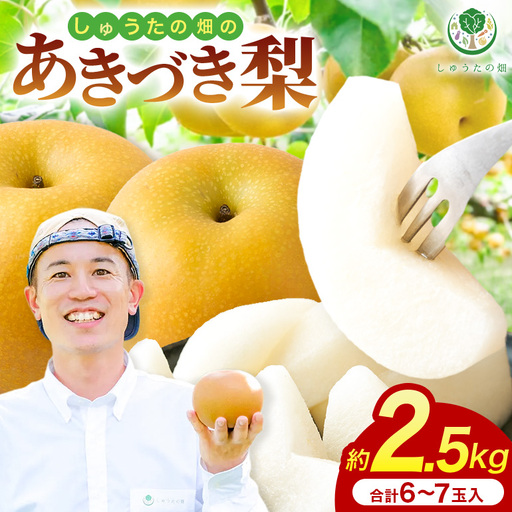【2027年発送】【先行予約】梨 あきづき梨 6～7玉 しゅうたの畑