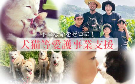 【返礼品なし】【犬猫等愛護活動 犬と猫と人にとって住みよい社会づくりを応援】宮崎県 高原町 特定非営利活動法人 咲桃虎(さくもんと)　TF3003-P00056