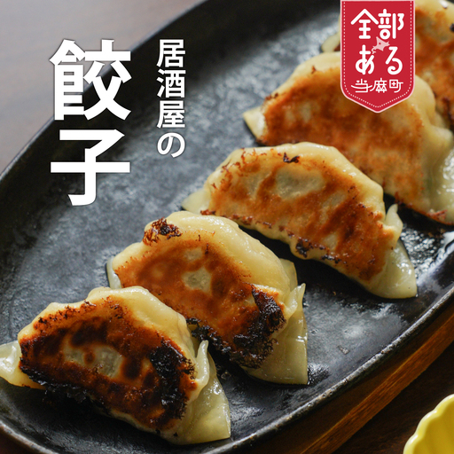 大きめ居酒屋餃子 600g 九州・沖縄配送不可[AN-001]