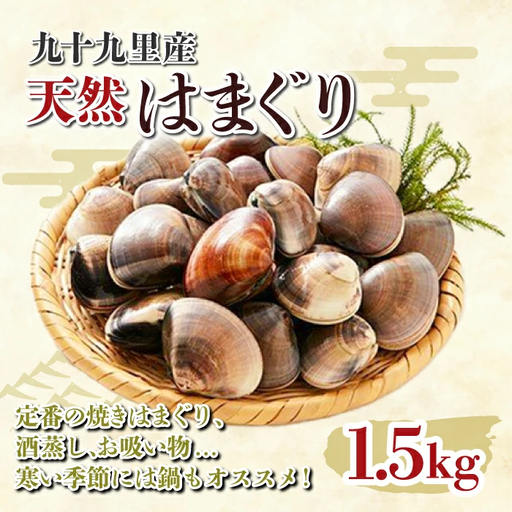 九十九里産 大粒 天然はまぐり1.5kg SHF001 ／ 絶品天然はまぐり 万能食材天然はまぐり 九十九里産天然はまぐり 蛤 ハマグリ海鮮 貝 貝類