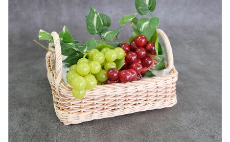 手編みかご 籐 角形 手つき カラーラタン彩都 手編みかご【中】