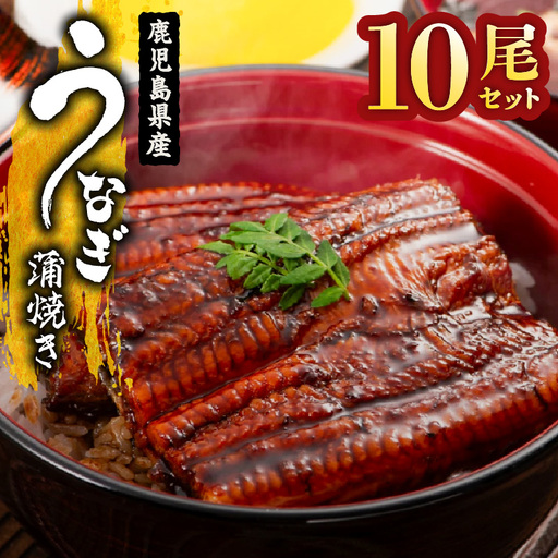  2125 鹿児島県産 うなぎ蒲焼き 10尾 KN058-002-10 魚 冷凍 鰻