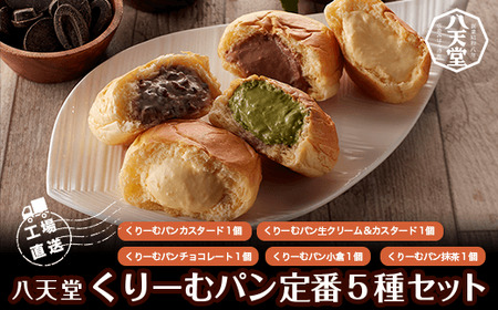 [工場直送]八天堂くりーむパン定番5種セット / とろけるくちどけくりーむパン 人気の八天堂くりーむパン 定番のお味くりーむパン
