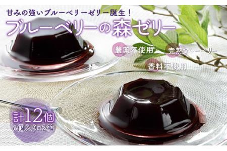 ＜甘みの強いブルーベリーゼリー誕生！＞ブルーベリーの森ゼリー12個