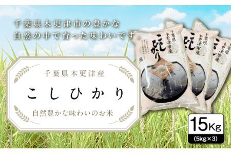 【令和6年産新米】千葉県木更津産こしひかり15kg（5kg×3）
