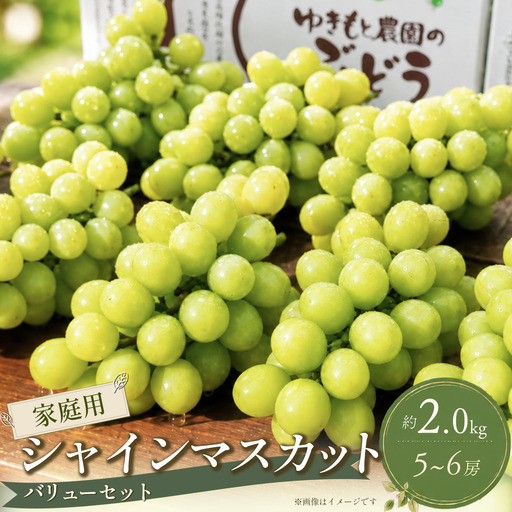 [家庭用バリュー]シャインマスカット 約2.0kg(5〜6房)シャインマスカット[8月〜10月発送]