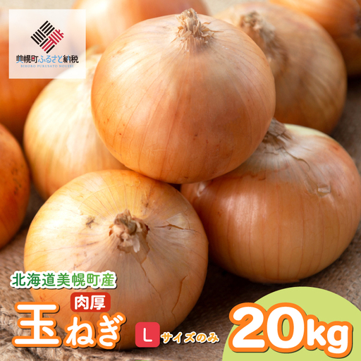 【 先行予約玉ねぎ】北海道産 玉ねぎ Lサイズ20kg [◆発送10月~2月] AF