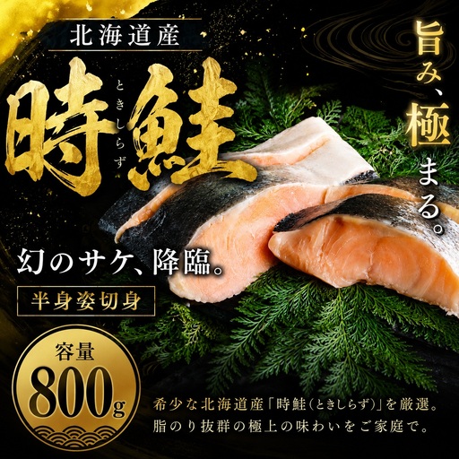 時鮭 切り身 800g [ 北海道 オホーツク ] 訳あり AH021 しゃけ 魚 鮭