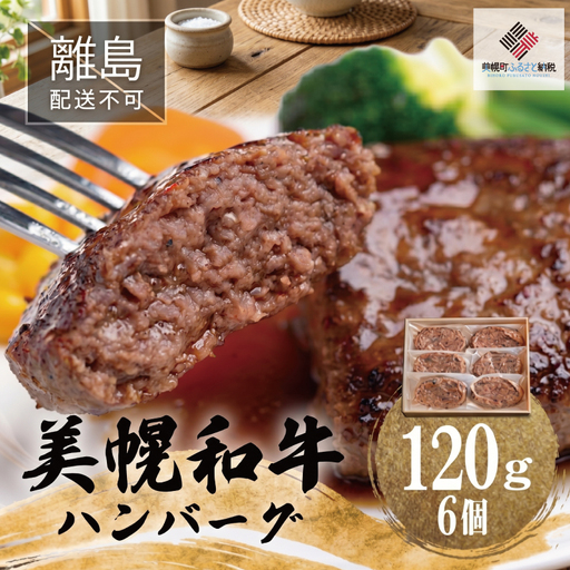 【田村精肉店】美幌和牛ハンバーグ【120g×6個】 【配送不可地域：離島】AI010 | ハンバーグ