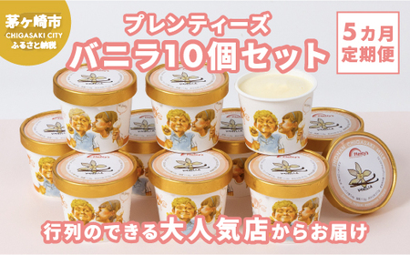 アイスクリーム プレンティーズ バニラ アイスクリーム【10個】【定期便 5ヵ月】