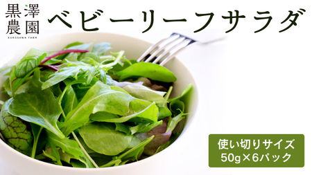 黒澤農園 の ベビーリーフサラダ ( 50g × 6パック ) 使い切りサイズ