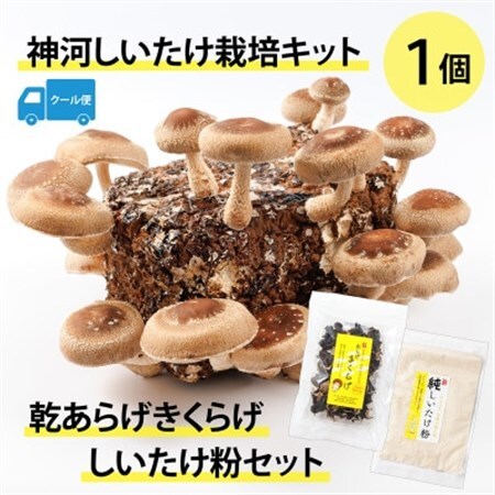 神河しいたけ栽培キット(しいたけ菌床)1個と乾あらげきくらげ・しいたけ粉セット※5月～10月順次発送【配送不可地域：離島】【1411540】