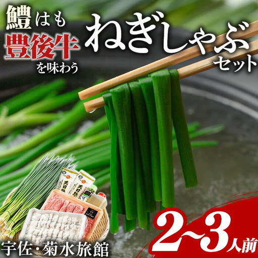 ねぎしゃぶ(6品)ねぎしゃぶ しゃぶしゃぶ 豊後牛 鱧 はも 鍋 お鍋 セット【101500302】【菊水旅館】