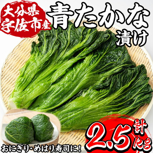 自家農園栽培 青たかな漬け(2.5kg)たかな 高菜 ちりめん高菜 漬物 漬け物 ご飯のお供 おにぎり 自家農園 大分県産【103200100】【松本漬物】