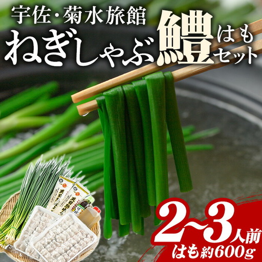 ねぎしゃぶ(鱧はも)セット(5品) ねぎしゃぶ しゃぶしゃぶ 鱧 はも 鍋 お鍋 うどん付き セット【101500202】【菊水旅館】