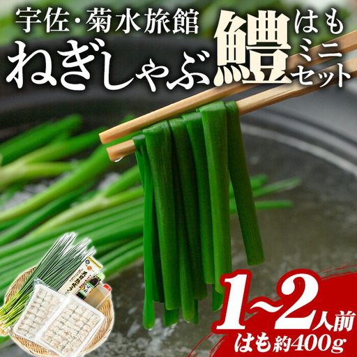 ねぎしゃぶ(鱧はも)ミニセット(5品)ねぎしゃぶ しゃぶしゃぶ 鱧 はも 鍋 お鍋 セット【101500102】【菊水旅館】