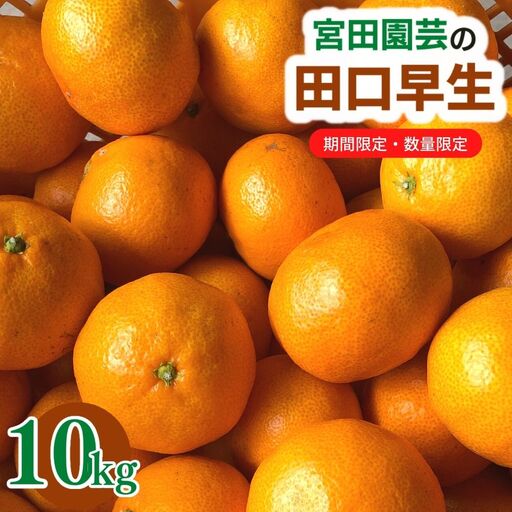 ＜先行予約受付中！2026年12月上旬以降順次発送予定＞田口早生(10kg)みかん 蜜柑 フルーツ 果物 くだもの 柑橘 期間限定【112300202】【宮田園芸】
