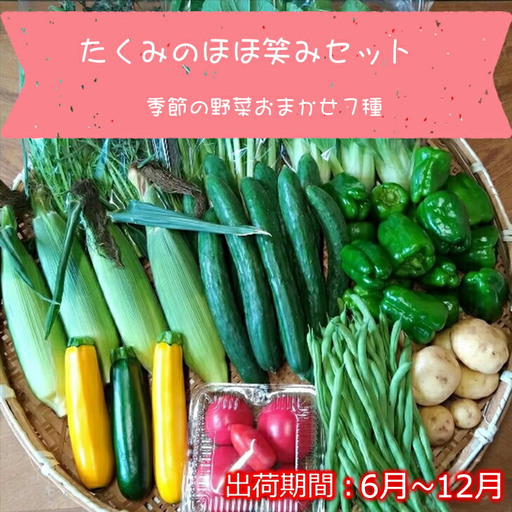 旬の野菜7種詰め合わせ『たくみのほほ笑みセット』（2026年6～12月出荷／北海道・九州・沖縄県・離島は配送不可） 旬彩 長野県 信州 おまかせ 高原  産地直送 季節  有機 栽培