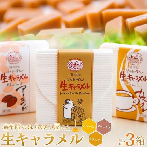 【湯布院のはちみつ屋さん】国産蜂蜜を使用した3種の生キャラメル （プレーン・カフェオレ・アーモンド）各12粒入り 計3箱