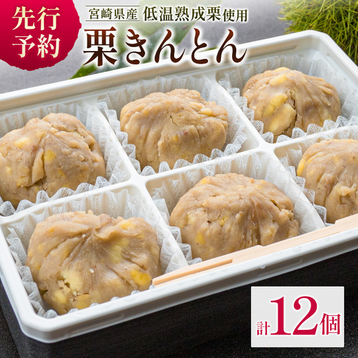 [2026出荷!!]宮崎県産 低温熟成栗100%[栗きんとん]計12個 おやつ 甘い お取り寄せ[B619-26]