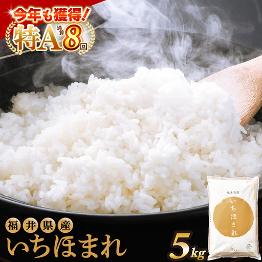 【令和7年産】いちほまれ 精米 5kg(5kg×1袋) 特A 福井県 ブランド米 白米 [e27-a043]