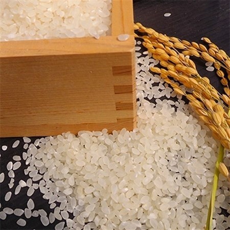 北村さんちの米コシヒカリ　6kg(2kg×3袋)精米_ コシヒカリ 米 こしひかり_【1052249】