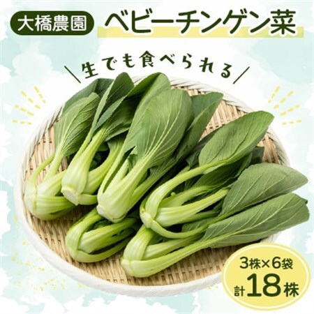 大橋農園のベビーチンゲン菜:3株入り×6袋【配送不可地域：離島】【1364665】