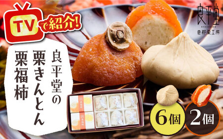 【スピード配送】【カーボンオフセット対象】栗きんとん6個 栗福柿2個 セット / 恵那市 / 良平堂 [AUDB021] 栗きんとん