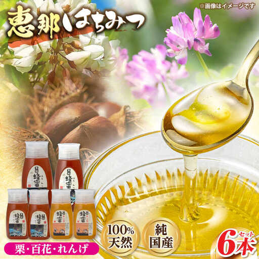 恵那蜂蜜 6本セット (蓮華蜂蜜300g×2本、百花蜂蜜300g・500g×各1本、栗蜂蜜300g・500g×各1本) / 恵那市 / はち工房こうけつ [AUDF017]
