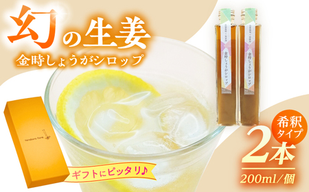 こだわり金時しょうがシロップ 200ml×2本 ギフトセット / 恵那市 / てらぼら農園 [AUDZ001]