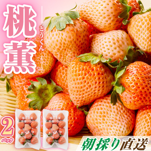 【先行予約】【2026年12月中旬より順次発送】福岡県産　桃薫　2パックセット【ナチュレッシュ・ファーム・ジェイピー】_HA1338