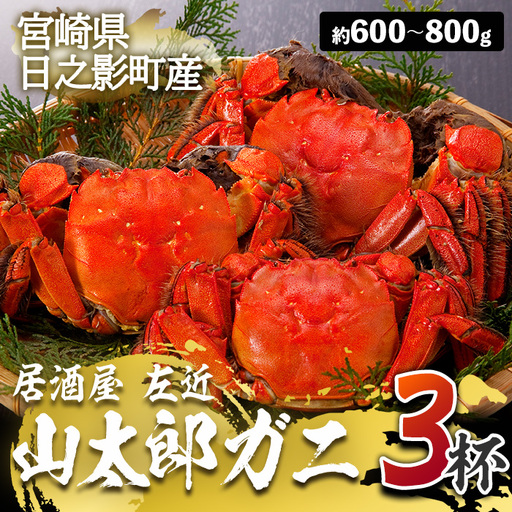 [期間限定]山太郎ガニ(3杯・約600g-800g)[SK001][居酒屋 左近]