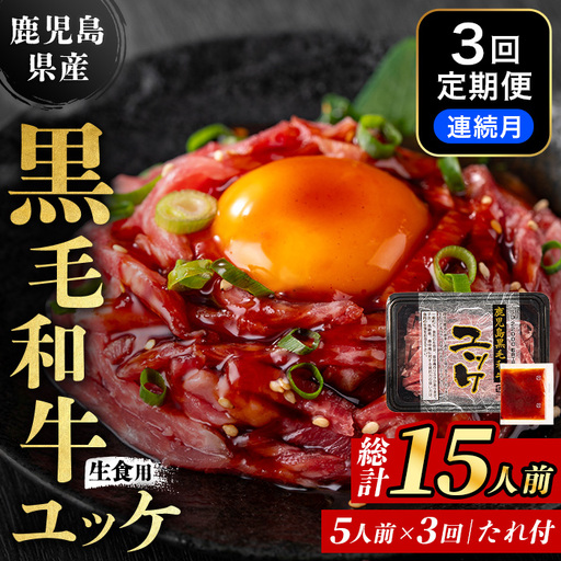 i824 [定期便・計3回(連続月)] 鹿児島県産黒毛和牛ユッケ[(40g×5P)×3回] 肉 牛肉 黒毛和牛 国産 鹿児島県産 ユッケ 生食 小分け 定期便 連続月 毎月 定期便 カミチク [株式会社LRプラスK]