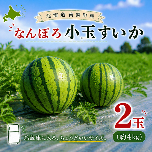 北海道産 小玉スイカ 2玉 なんぽろ小玉すいか 8月発送 シャリシャリ食感 南幌町産