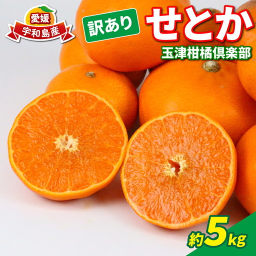 訳ありせとか5kg玉津柑橘倶楽部[せとか